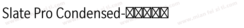 Slate Pro Condensed字体转换